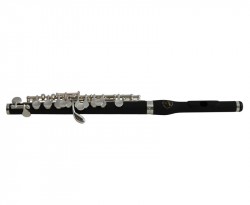 Piccolo-XS