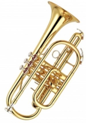 Cornet Piston