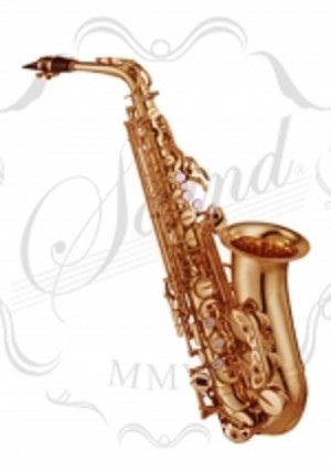 Saxophone Packs